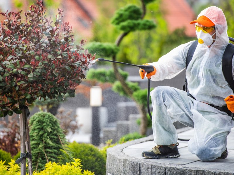 Gelibolu Haşere İlaçlama